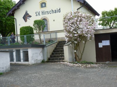 SV Hirschaid